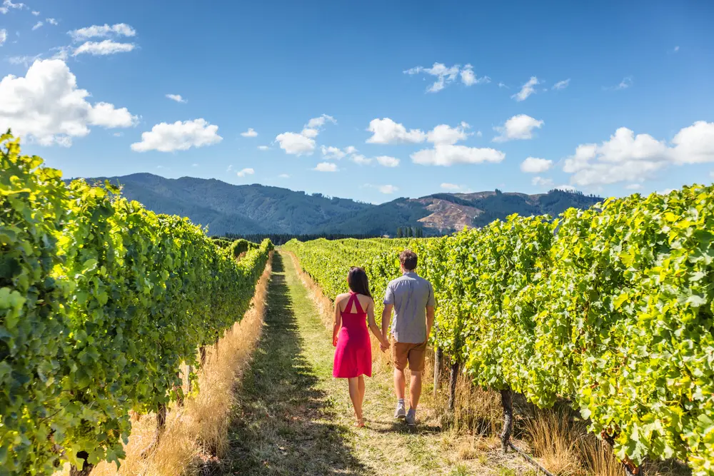 uncorked wine tours kelowna