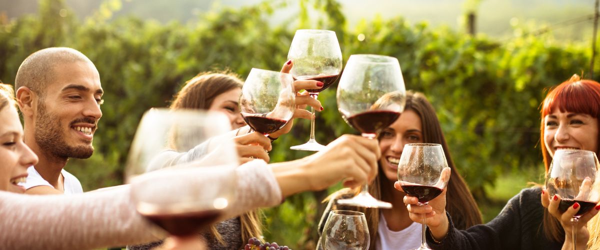 How to survive a Wine Tasting! Uncorked Okanagan Wine Tours